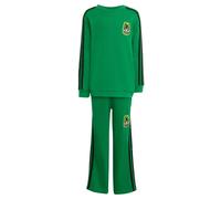 Completo kids adidas Originals X Minecraft Green 6-7A