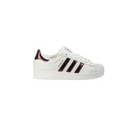 ADIDAS ORIGINALS Sneaker SUPERSTAR II crema | 38 2/3