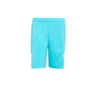 ADIDAS Pantaloncini da bagno da uomo Icon 3S SH 8in blu | S