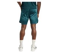 Pantaloncini da tennis da uomo Adidas Pro Climacool Ergo 9'' - aurora ivy - Verde
