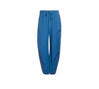 ADIDAS Pantaloni da jogging da uomo Z.N.W. WV PT BV blu | XL
