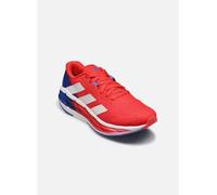 Scarpe da running adistar 3 Pure Ruby / Cobalt Blue / Lucid Red 41 1/3