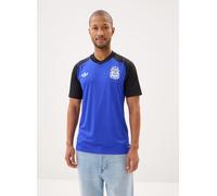 Adidas Argentina 26/27 Away Pre Match Short Sleeve T-shirt Blu XL Uomo