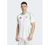 adidas Performance - Algeria 24 Home - Maglia bianca/verde-Bianco 3XL