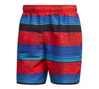 Adidas Performance Costume Badeshorts Stripe SH SL Palmen Multicolore