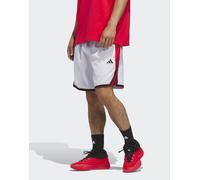 Pantaloni Corti Adidas Crazy Lite Dash Grey / Pure Ruby S 23 CM