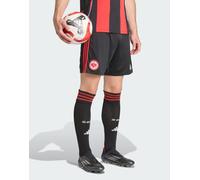 adidas Performance - Eintracht Frankfurt 25/26 - Pantaloncini Home neri-Nero S