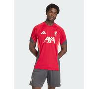 Adidas Liverpool Fc 25/26 Tiro Competition Training Short Sleeve T-shirt Rosso M / Regular Uomo