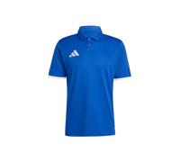 ADIDAS PERFORMANCE Maglia funzionale 'ENT26' blu / bianco Uomo ADIDAS PERFORMANCE XL