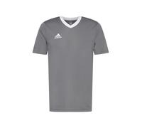 Maglia adidas ENT22 JSY he1574 Taglie XXL