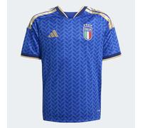 ADIDAS PERFORMANCE Maglia funzionale 'FIGC H JSY Y' beige / blu / azzurro / rosso Bambini ADIDAS PERFORMANCE 128