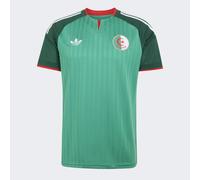 Adidas Algeria Uomo - Maglie/Repliche Verde - Taglia XXL - Poly Jersey Green XXL