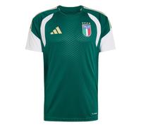 Adidas Italy 26/27 Tiro Training Short Sleeve T-shirt Verde M / Regular Uomo