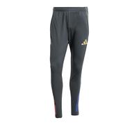 adidas Performance Olympique Lyon Pantaloni da allenamento, Grigio, S da uomo