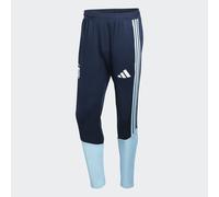 Adidas Argentina 26/27 Tiro Training Tracksuit Pants Blu S / Regular Uomo