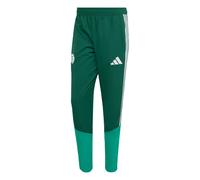 ADIDAS PERFORMANCE Pantaloni sportivi 'Algerien 26' smeraldo / verde scuro / bianco Uomo ADIDAS PERFORMANCE Sxregular