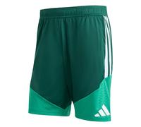 Adidas Algeria 26/27 Training Shorts Verde L / Regular Uomo