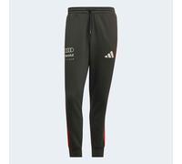 ADIDAS PERFORMANCE Pantaloni sportivi 'Audi Formula One Team DNA' grigio scuro / rosso / bianco Uomo - Abbigliamento - Abbigliamento in felpa - Pantaloni e pantaloncini in felpa ADIDAS PERFORMANCE L