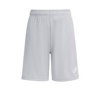 adidas Mixte Enfant Entrada26 Shorts Kids, Team Light Grey/White, 11-12 Years