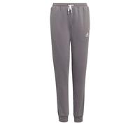 Adidas Pantaloni Entrada 22 Stadium Sw