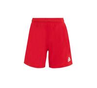ADIDAS PERFORMANCE Pantaloni sportivi 'Entrada26' rosso / bianco Donna ADIDAS PERFORMANCE M