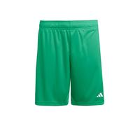 ADIDAS PERFORMANCE Pantaloni sportivi 'Entrada26' verde / bianco Uomo ADIDAS PERFORMANCE Mxregular