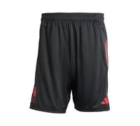 ADIDAS PERFORMANCE Pantaloni sportivi 'FC Liverpool Competition 2025/2026' greige / rosso / nero Uomo ADIDAS PERFORMANCE XS