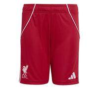 ADIDAS PERFORMANCE Pantaloni sportivi 'FC Liverpool FC 25/26' rosso / bianco Bambini ADIDAS PERFORMANCE 164xregular rosso / bianco