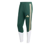 ADIDAS PERFORMANCE Pantaloni sportivi 'FIGC TR PNT' verde / verde pastello / bianco Uomo ADIDAS PERFORMANCE XL