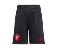ADIDAS PERFORMANCE Pantaloni sportivi 'Liverpool FC 25/26' rosso / nero / bianco Bambini ADIDAS PERFORMANCE 164xregular rosso / nero / bianco
