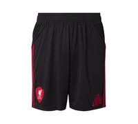 ADIDAS PERFORMANCE Pantaloni sportivi 'Liverpool FC 25/26' rosso / nero Uomo ADIDAS PERFORMANCE XL