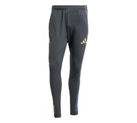 Adidas Olympic Lyon male Pantaloni - Grigio - Poly Fleece - Foot Locker Grey L