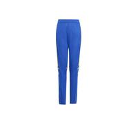 adidas SQUADRA25 TRAINING PANT KIDS, Pantaloni sportivi Unisex - Bambini, team royal blue/team yellow,