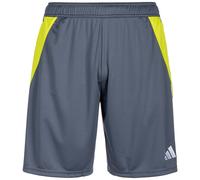 Adidas Pantaloni Corti Tiro24 Training