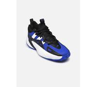 Scarpe indoor adidas Trae Unlimited 2 Bleu 44 2/3