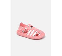 adidas performance - Water Sandal C Rosa - Sandali e scarpe aperte 29 Rosa