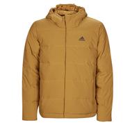 adidas Piumino HELIONIC HO JKT in Giallo EU L
