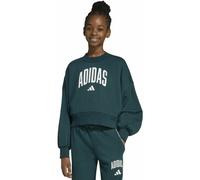 adidas Seasonals Essentials Collegiate GraphicsJr - felpa - ragazza 13-14A Dark Green junior Better Cotton Initiative