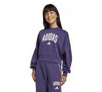 adidas Seasonals Essentials Collegiate GraphicsJr - felpa - ragazza 9-10A Purple junior Better Cotton Initiative