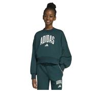 Adidas Seasonals Essentials Collegiate Typography Crewneck Sweatshirt Verde 9-10 Years Ragazza