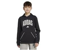 adidas Seasonals Essentials Collegiate Typography Hoodie 15-16 Years