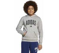 adidas Seasonals Essentials Collegiate Typography Jr - felpa con cappuccio - ragazzo 9-10A Grey junior