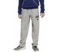 adidas Seasonals Essentials Collegiate Typography Jr - pantaloni fitness - ragazzo 13-14A Grey junior Recycled Polyester