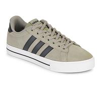 adidas Sneakers DAILY 4.0 in Kaki 41 1/3