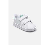adidas sportswear - Advantage Cf I Bianco - Sneakers 21 Bianco