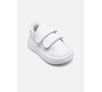 adidas sportswear - Advantage Cf I Bianco - Sneakers 23 Bianco