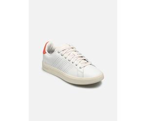 adidas sportswear - Advantage Premium Bianco - Sneakers 40 Bianco
