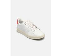 adidas sportswear - Advantage Premium M Bianco - Sneakers 46 2/3 Bianco