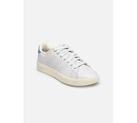 adidas sportswear - Advantage Premium W Grigio - Sneakers 39 1/3 Grigio
