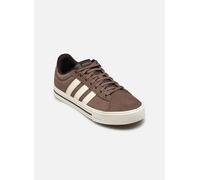 adidas sportswear - DAILY 4.0 W M Marrone - Sneakers 41 1/3 Marrone
